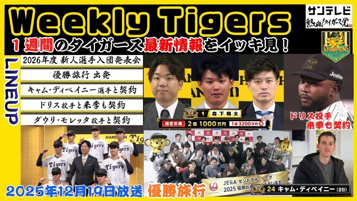【12/13~12/19のタイガース情報🐯】今週のタイガースを振り返る!森下選手、契約更改!優勝旅行出発!ドリス投手と来季も契約! #熱血タイガース党 【12/13~12/19のタイガース情報🐯】今週のタイガースを振り返る!森下選手、契約更改!優勝旅行出発!ドリス投手と来季も契約! #熱血タイガース党