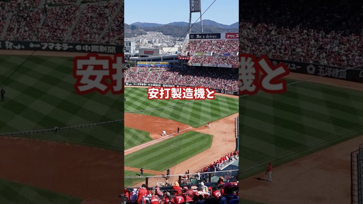 #広島東洋カープ とある選手のここまでの野球人生