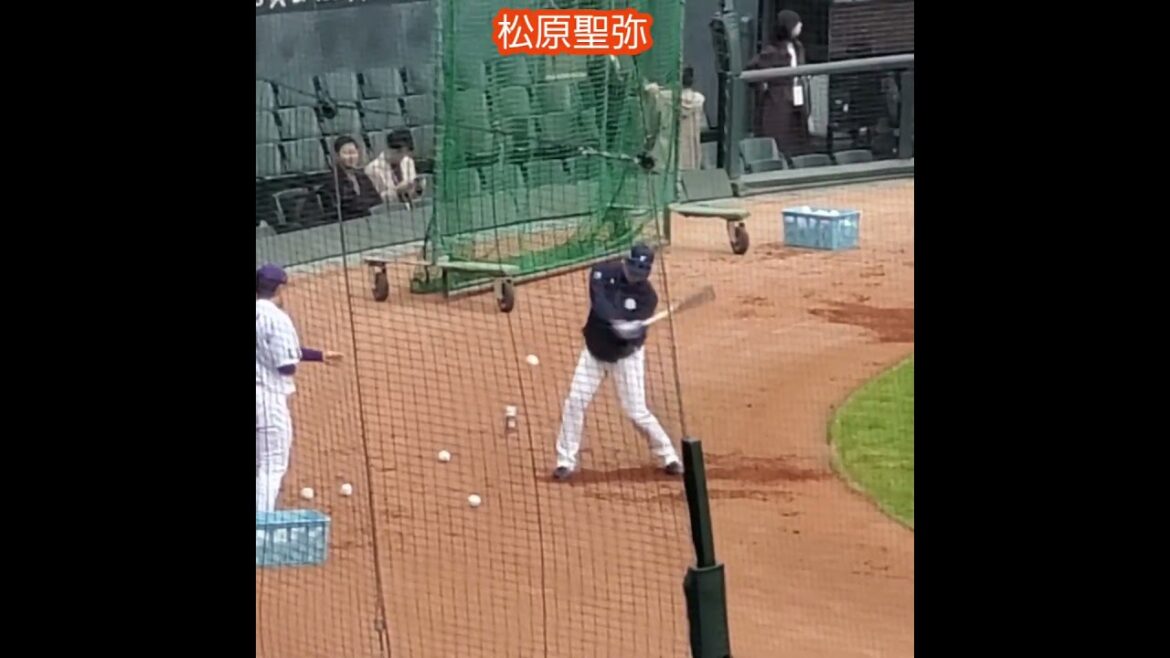 20251112　現役引退！#松原聖弥　試合前の打撃練習　#shorts@MAZDA Zoom-Zoom ｽﾀｼﾞｱﾑ広島［ｴｲﾌﾞﾙ ﾄﾗｲｱｳﾄ2025］