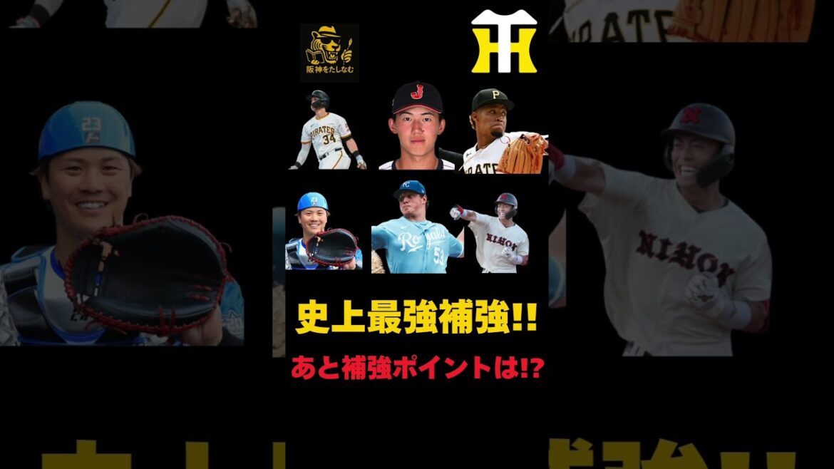 残りの補強ポイントはここだ‼️過去類を見ない的確さと選手の質‼️【徹底考察】#阪神タイガース #阪神 新外国人#新外国人候補 2026#デバニー#ルーカス#モレッタ#立石 正広#谷端 将伍#伏見 寅威 残りの補強ポイントはここだ‼️過去類を見ない的確さと選手の質‼️【徹底考察】#阪神タイガース #阪神 新外国人#新外国人候補 2026#デバニー#ルーカス#モレッタ#立石 正広#谷端 将伍#伏見 寅威