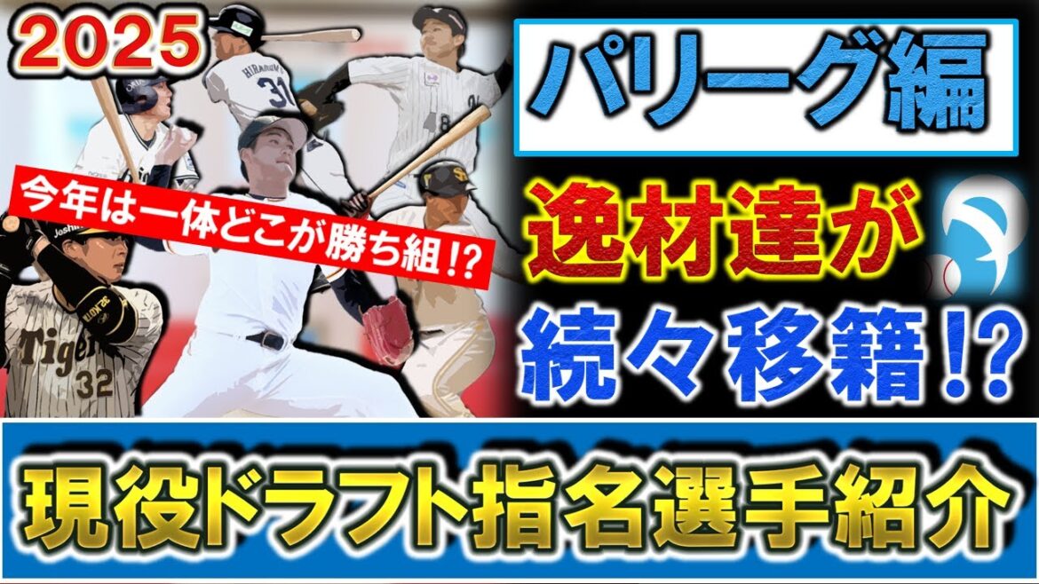 現役ドラフト指名選手紹介・パリーグ編　第４回現役ドラフトが開催！逸材達が続々移籍！【ＳＢ・中村稔弥】【日ハム・菊地大稀】【オリ・平沼翔太】【楽天・佐藤直樹】【西武・茶野 篤政】【ロッテ・井上広大】