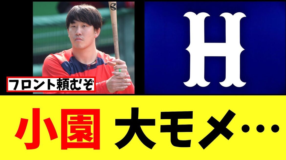 【カープ速報】小園、大モメ