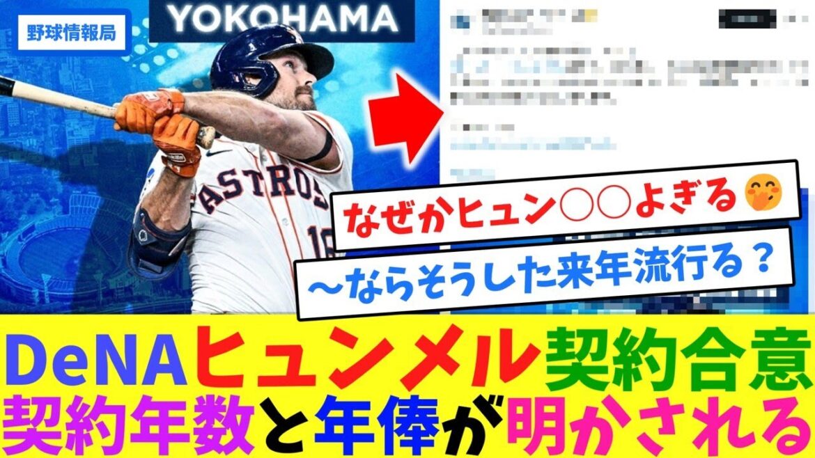 DeNAヒュンメル契約合意!契約年数と年俸が明かされる【ネット情報局】 DeNAヒュンメル契約合意!契約年数と年俸が明かされる【ネット情報局】