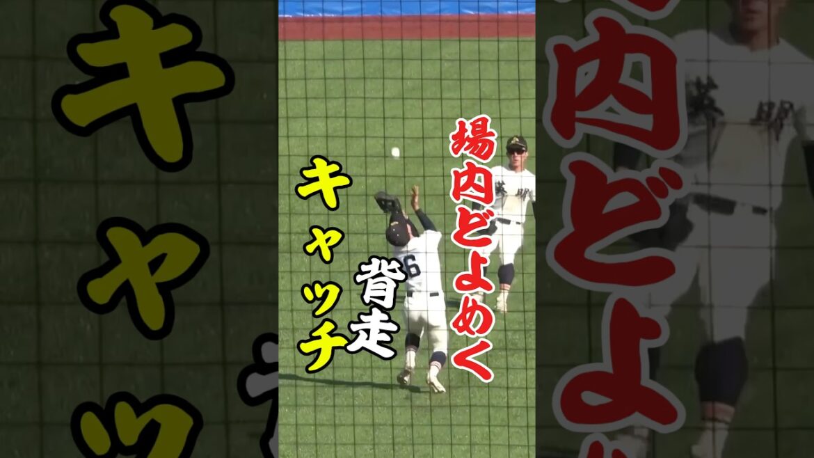 【高校野球】場内どよめく背走キャッチ！北照　英明　神宮大会　#高校野球 #甲子園 #野球 #死球 #baseball #shorts