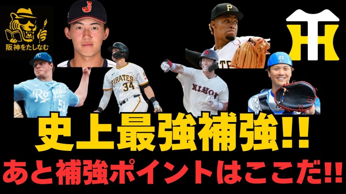 残りの補強ポイントはここだ‼️過去類を見ない的確さと選手の質‼️【徹底考察】#阪神タイガース #阪神 新外国人#新外国人候補 2026#デバニー#ルーカス#モレッタ#立石 正広#谷端 将伍#伏見 寅威 残りの補強ポイントはここだ‼️過去類を見ない的確さと選手の質‼️【徹底考察】#阪神タイガース #阪神 新外国人#新外国人候補 2026#デバニー#ルーカス#モレッタ#立石 正広#谷端 将伍#伏見 寅威
