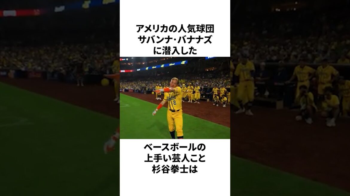 杉谷拳士が「アメリカで人気者になった」ことについての雑学　#プロ野球 #野球 #mlb