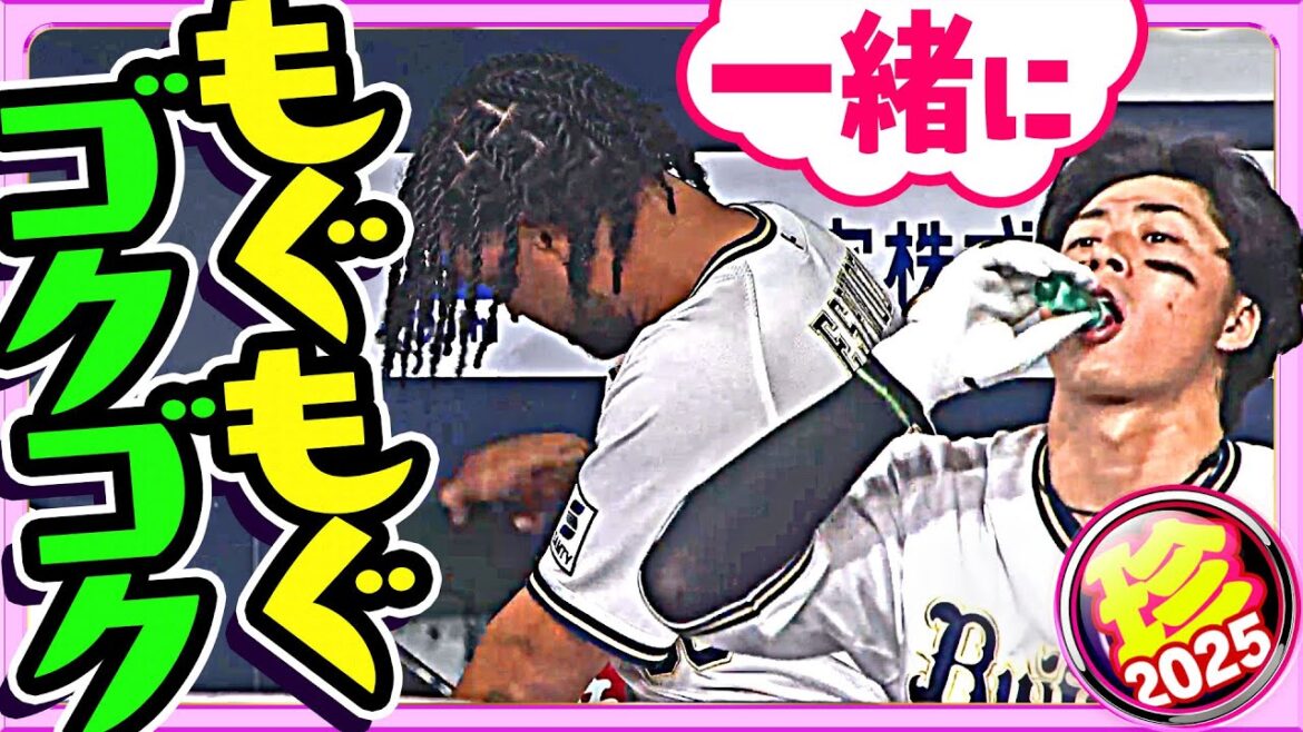 Pacific-League: 『自分で』もあれば『誰かに』のパターンもある『もぐもぐゴクゴク』【珍プレー2025】 『自分で』もあれば『誰かに』のパターンもある『もぐもぐゴクゴク』【珍プレー2025】