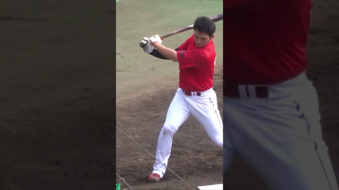 #持丸泰輝 （広島カープ）#高速トス  2022年秋季キャンプ