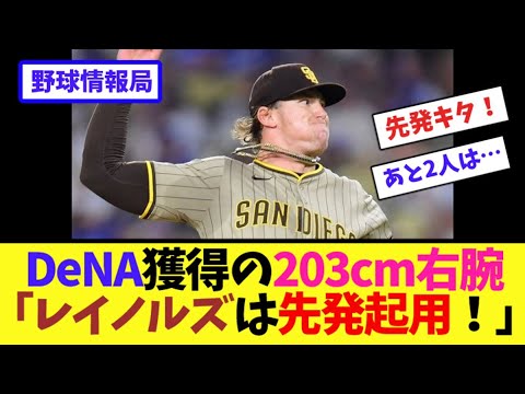 DeNA獲得の203cm右腕「レイノルズは先発起用!」【ネット情報局】 DeNA獲得の203cm右腕「レイノルズは先発起用!」【ネット情報局】