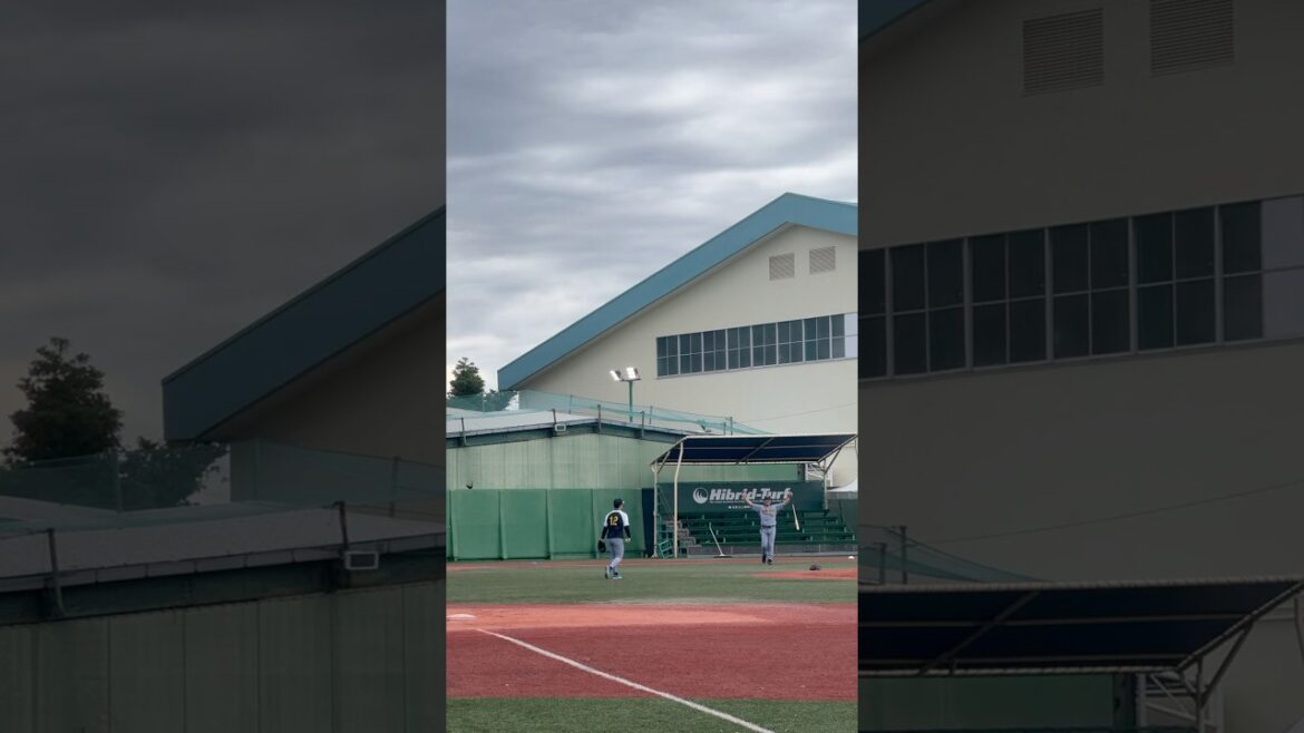 阪神 坂本誠志郎 筒井コーチとキャッチャーフライノック 楽しそう