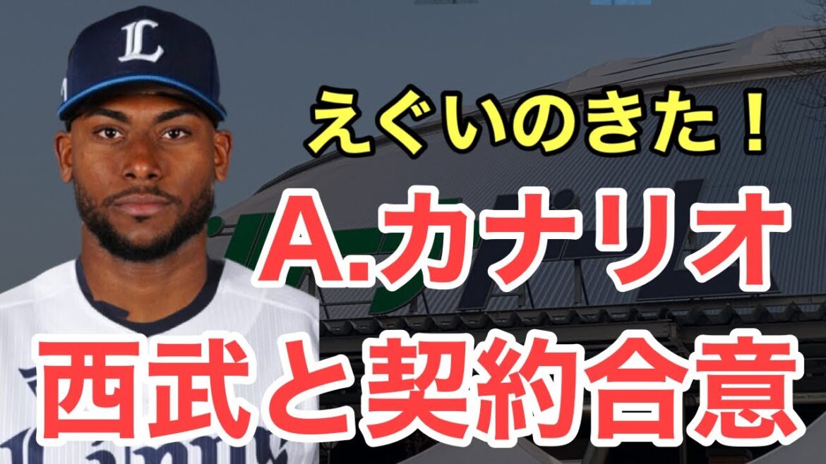 【爆報】遂にきた大砲候補！アレクサンダー・カナリオを争奪戦制して獲得！