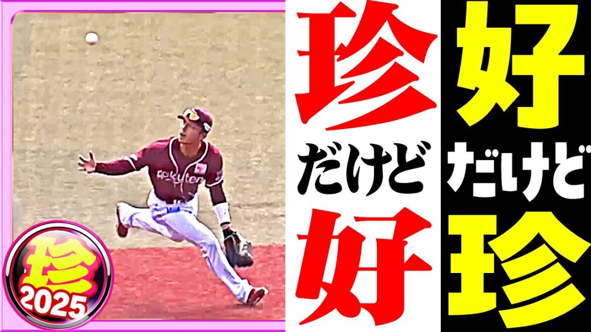 Pacific-League: 『好だけど珍』であり『珍だけど好』【珍プレー2025】 『好だけど珍』であり『珍だけど好』【珍プレー2025】