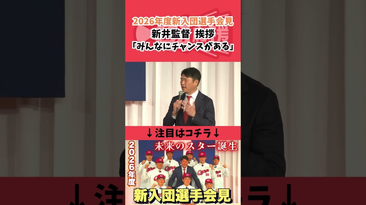 【カープ新入団選手会見】新井監督🔥「ドラフトの順位は関係ない！みんなにチャンスがある」【球団認定】カープ全力応援チャンネル