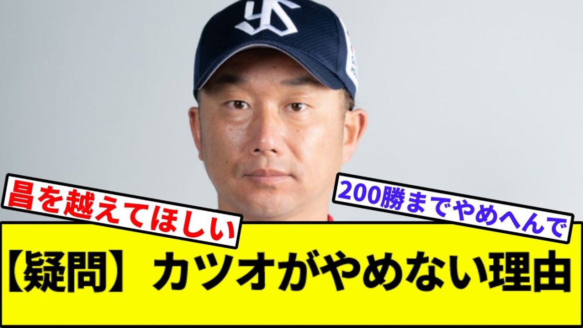 【疑問】石川雅規さんがやめない理由【なんJ反応】【なんG反応】【プロ野球反応集】【2chスレ】【5chスレ】【巨人】【阪神】【中日】【横浜】【ヤクルト】【カープ】