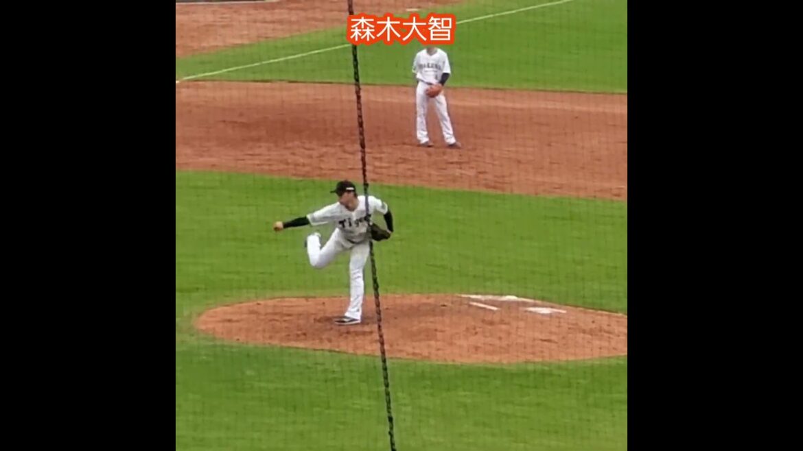 20251112　#森木大智　#投球練習　#shorts　投球ﾌｫｰﾑ　　阪神ﾀｲｶﾞｰｽ@MAZDA Zoom-Zoom ｽﾀｼﾞｱﾑ広島［ｴｲﾌﾞﾙ ﾄﾗｲｱｳﾄ2025］