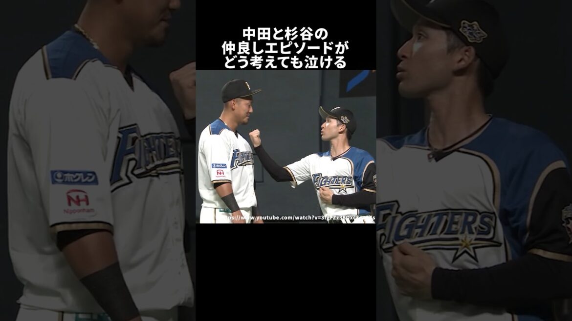 中田翔と杉谷拳士の仲良しエピソード #野球