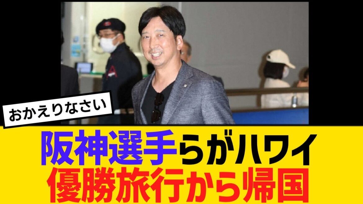 阪神選手らがハワイ優勝旅行から帰国【野球】【反応】【考察】
