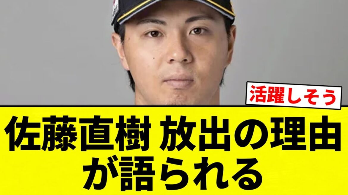 【理由】佐藤直樹 放出の理由が語られる【プロ野球反応集】【2chスレ】【なんG】