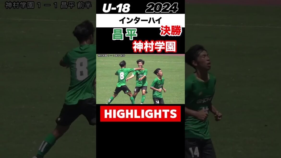 #昌平 #神村学園 #インターハイ#長璃喜 #山口豪太 #玉田圭司