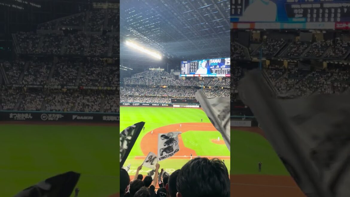 勝利の旗　#千葉ロッテマリーンズ #応援歌