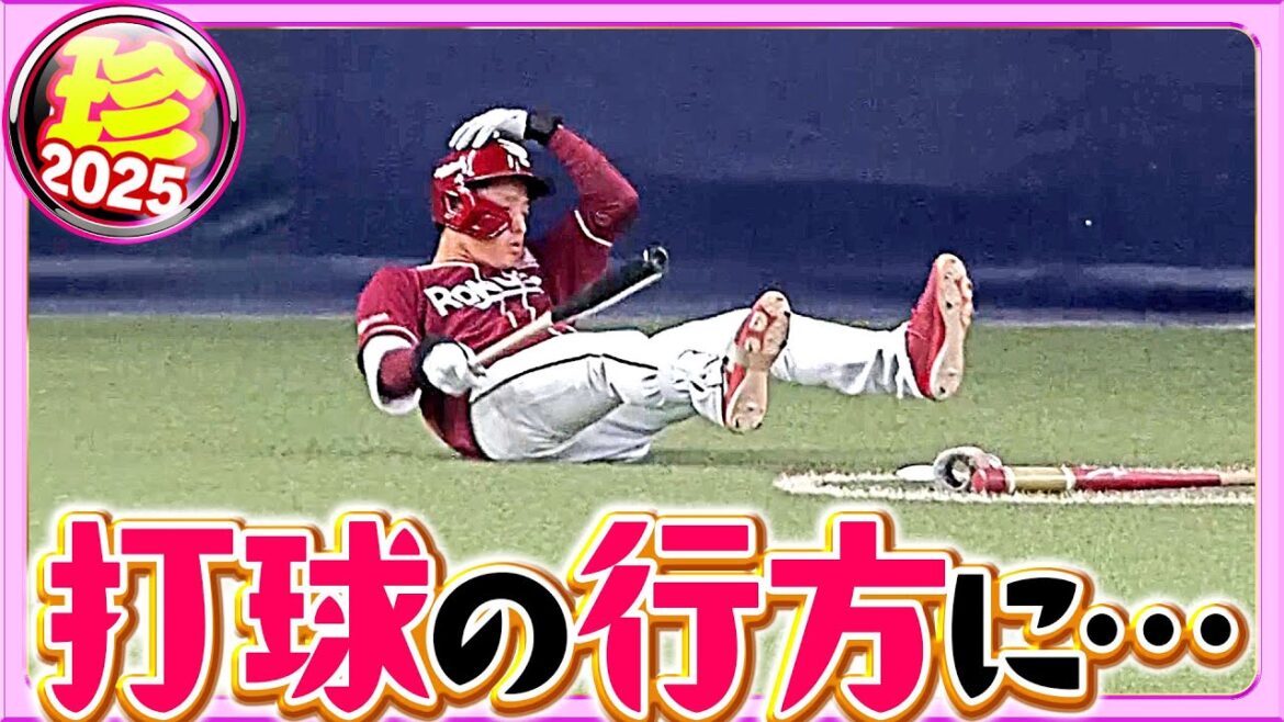 Pacific-League: 怪我のないよう…ボールの行方にご注意ください【珍プレー2025】 怪我のないよう…ボールの行方にご注意ください【珍プレー2025】
