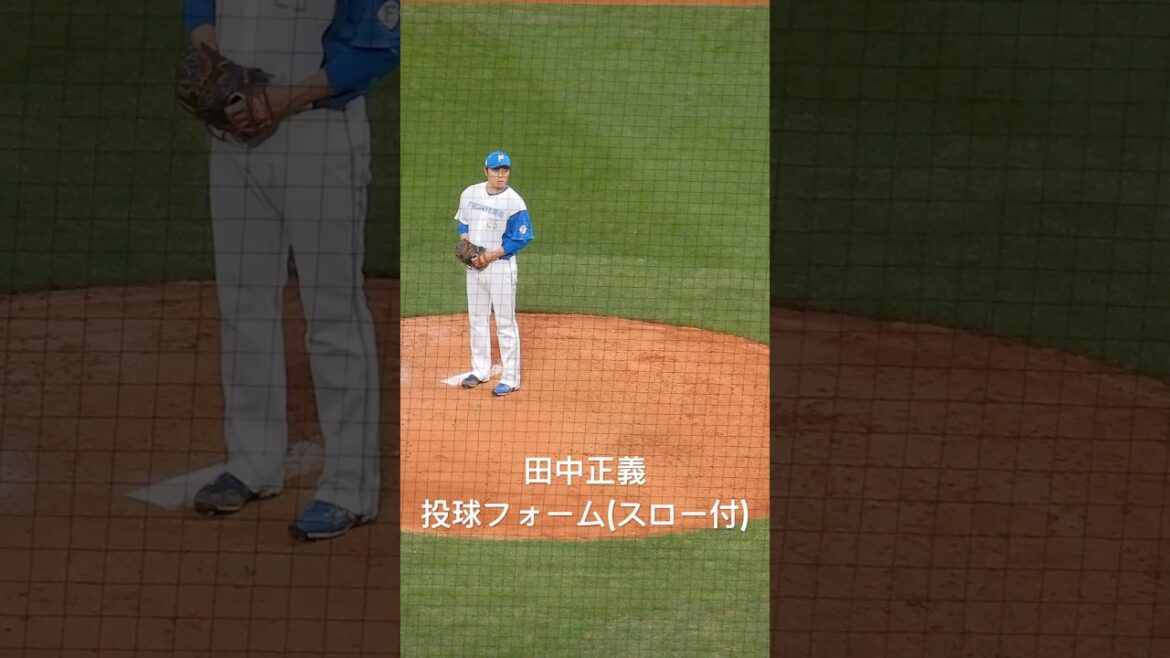 #田中正義 ピッチングフォーム #北海道日本ハムファイターズ