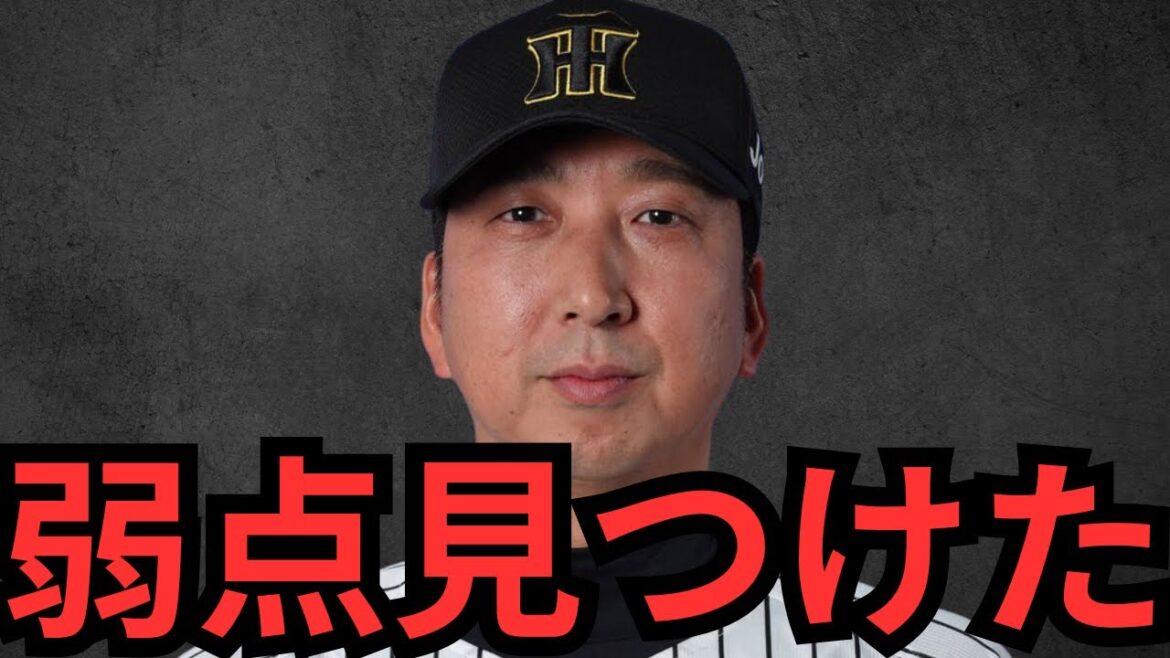 来季連覇を狙う阪神の唯一の弱点を見つけたかもしれない… 阪神ファンの方は絶対にこの動画見ないで下さい…