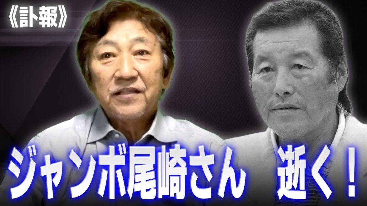 タイガース新外国人選手ゾクゾク！【12/24】