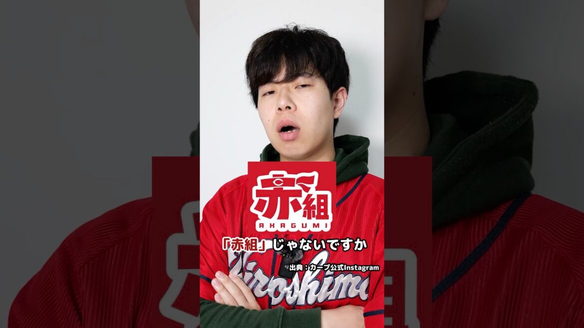 赤は聖なる色！メリークリスマス！ #shorts #カープ #carp #広島東洋カープ #プロ野球 #野球 #カープファン #野球ファン #赤組