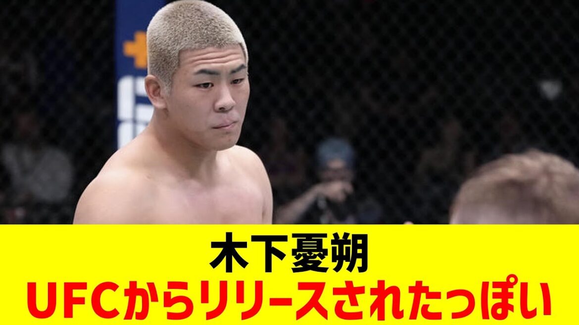 木下憂朔 UFCからリリースされたっぽい【2chまとめ】【2chスレ】【5chスレ】
