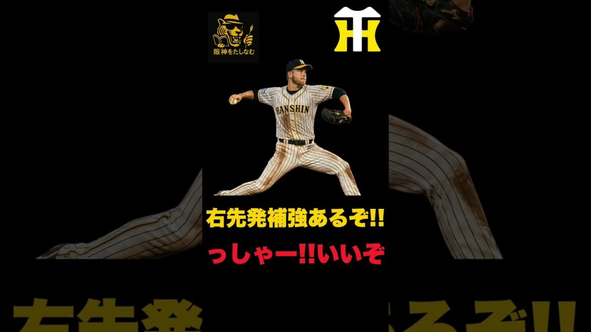 フロントが名言‼️デュープの代役探してる‼️佐藤輝、才木が年越し交渉⁉️真意は❓#阪神タイガース #阪神　新外国人＃新外国人候補　2026#デバニー＃ルーカス＃モレッタ＃立石 正広＃谷端 将伍＃伏見