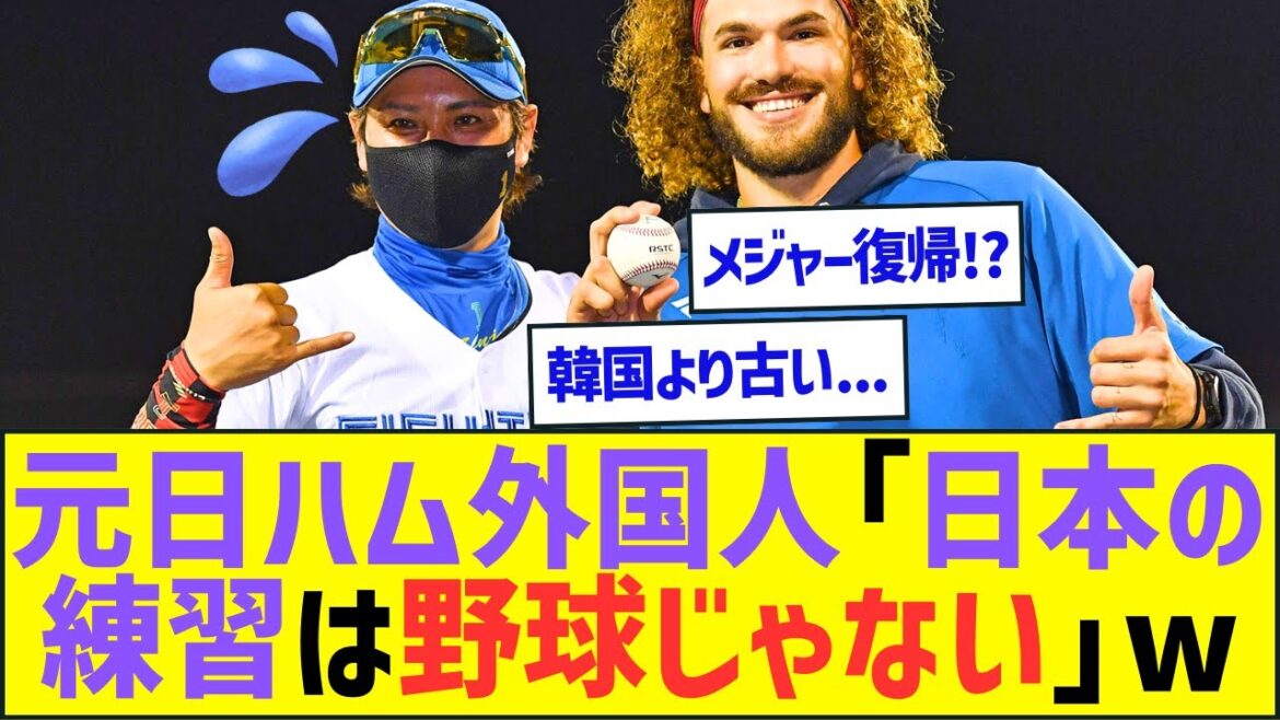 元日ハム外国人「日本の練習は野球じゃないし選手仲も良くない」新庄剛志「…」ww【プロ野球ネット反応】