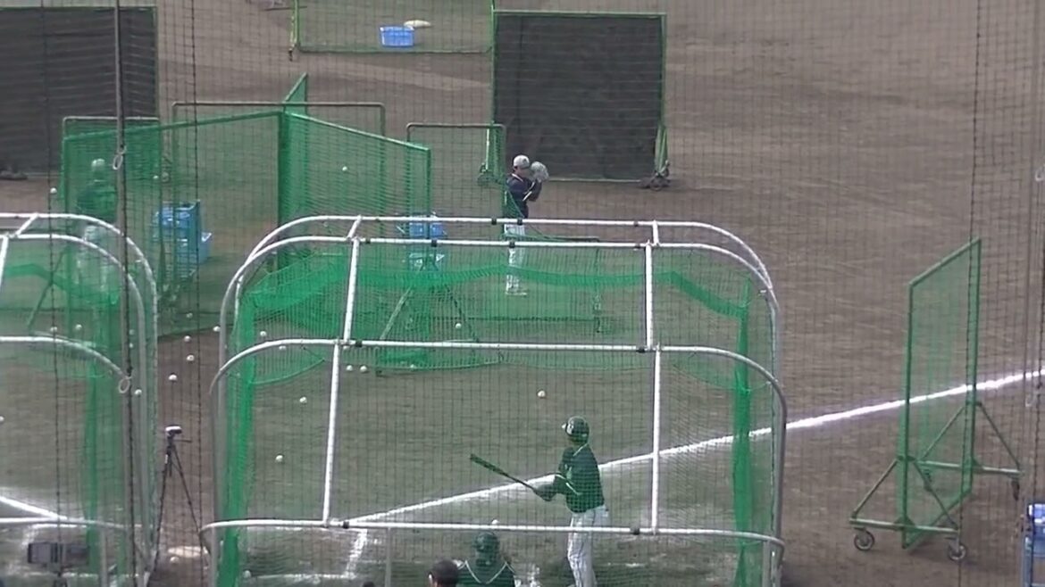 武岡龍世の打撃練習〜スワローズ沖縄キャンプ2025年2月19日