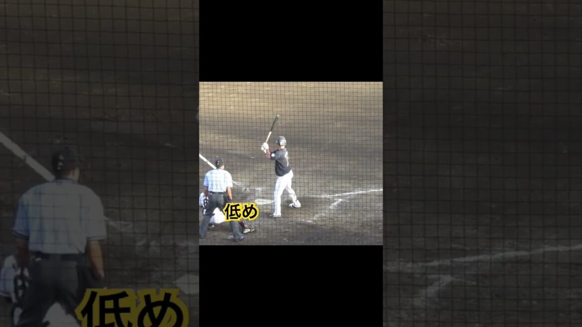 野球選手フォーム集290ロッテ平沢大河のバッティングフォーム2021年8月19日イースタン 巨人対ロッテ