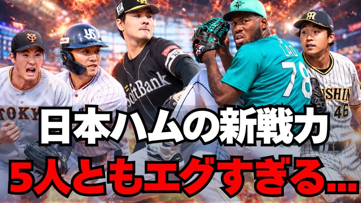 【日本ハム】有原航平ら新戦力５人が有望すぎる！全選手ガチ解説