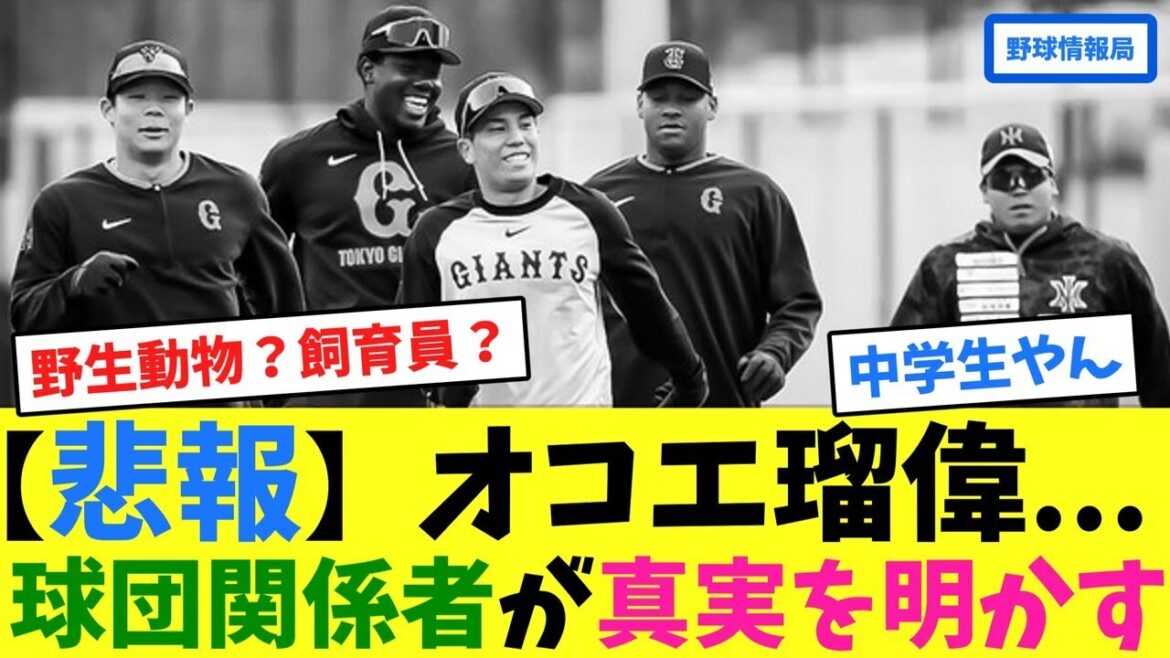 【悲報】オコエ瑠偉…球団関係者が真実を明かす【ネット情報局】 【悲報】オコエ瑠偉...球団関係者が真実を明かす【ネット情報局】