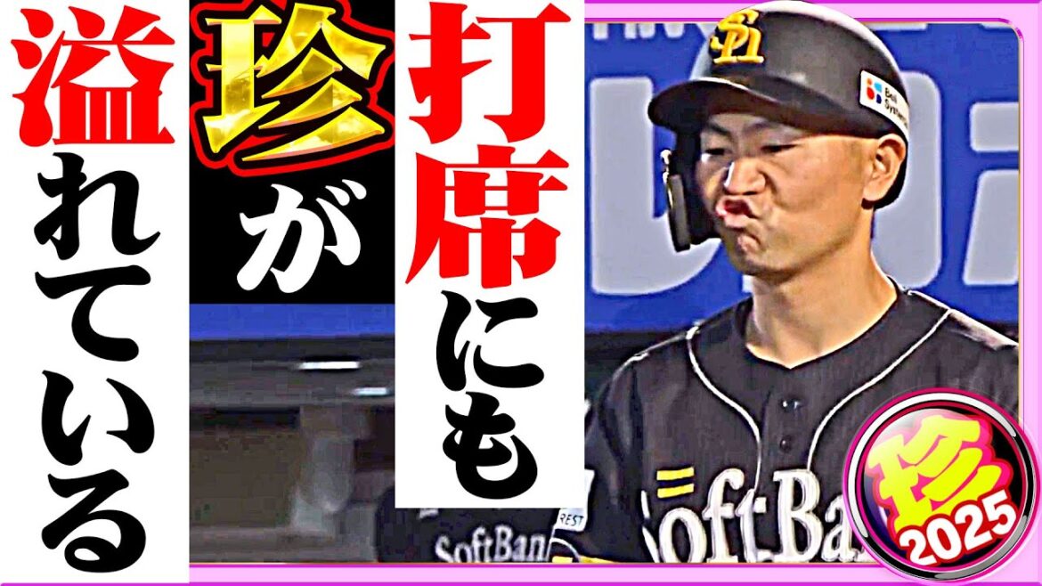 Pacific-League: 【結果だけじゃない】注目すべき『打席での反応』【珍プレー2025】 【結果だけじゃない】注目すべき『打席での反応』【珍プレー2025】