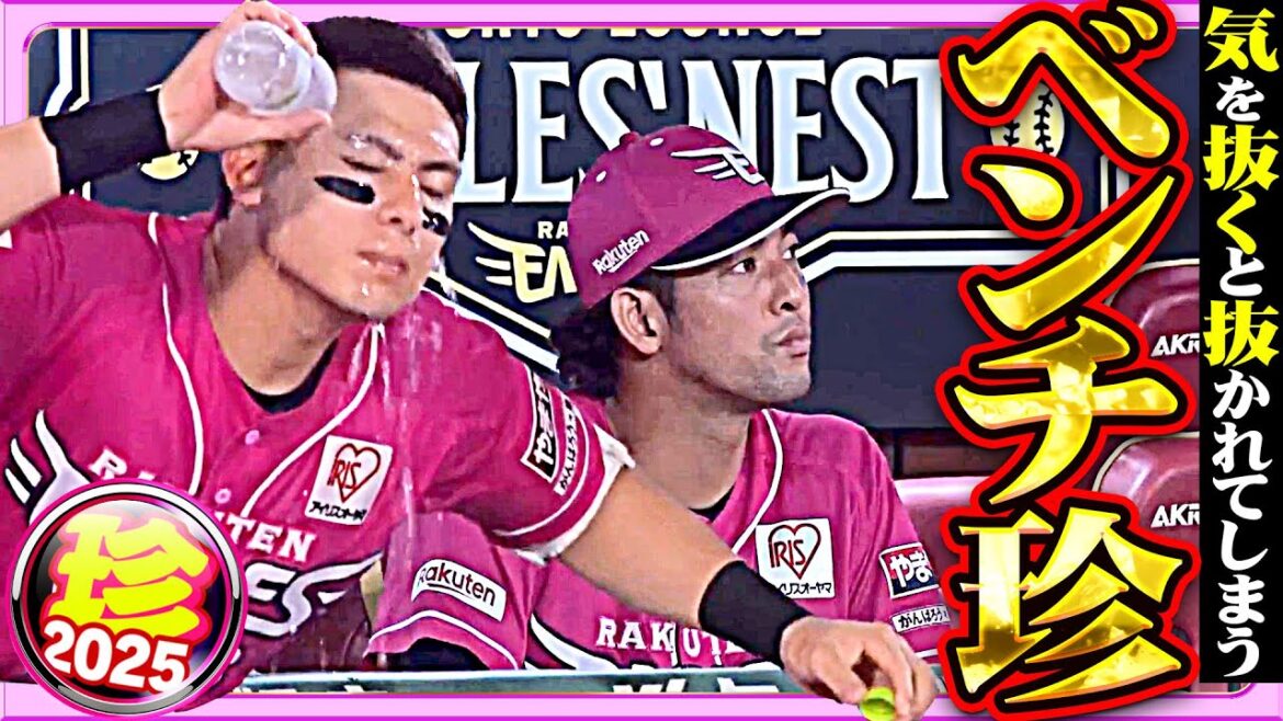 Pacific-League: 【気を抜けない】”恐怖”ベンチでも油断大敵【珍プレー2025】 【気を抜けない】”恐怖”ベンチでも油断大敵【珍プレー2025】