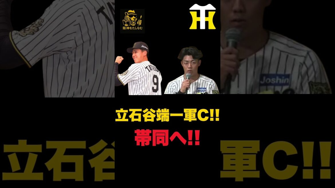 小谷野コーチに任せる‼️立石、谷端ゴールデンルーキーが一軍キャンプへ‼️#阪神タイガース #阪神　新外国人＃新外国人候補　2026#デバニー＃ルーカス＃モレッタ＃立石 正広＃谷端 将伍＃伏見 寅威