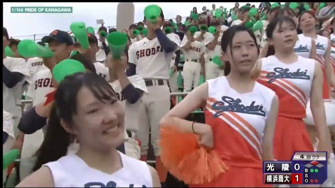 高校野球神奈川大會2024 横浜商大チアガール  #チアガール