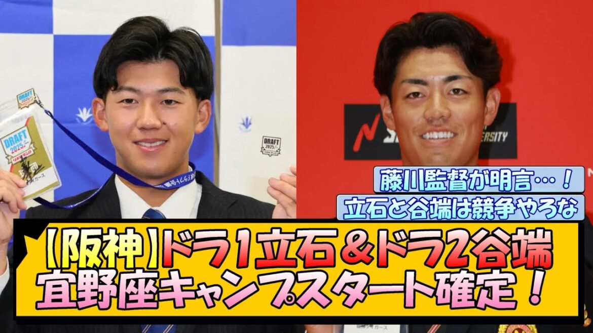 【阪神】ドラ1立石＆ドラ2谷端 宜野座キャンプスタート確定！