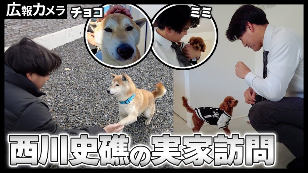 【愛犬初公開】西川史礁選手が和歌山に凱旋の様子をカメラが撮影【広報カメラ】