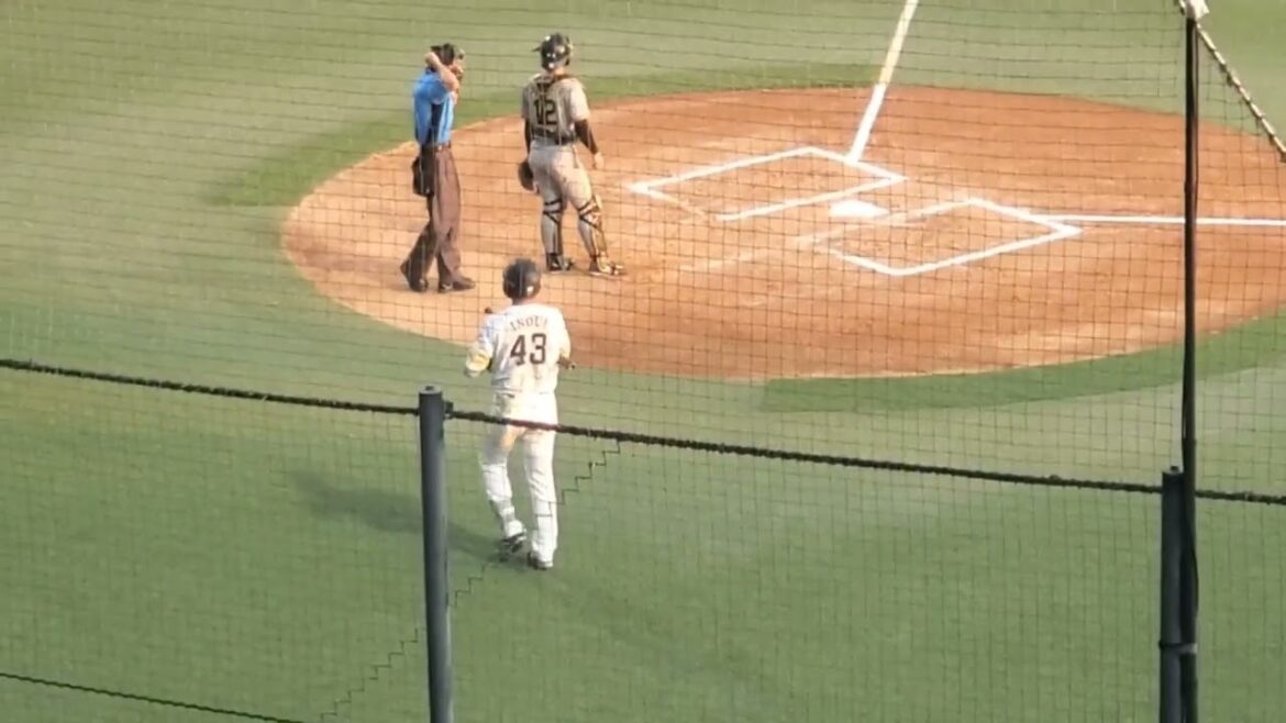 20240817　井上朋也 登場曲【｢junkie｣／swetty】　6回ｳﾗ　福岡ｿﾌﾄﾊﾞﾝｸﾎｰｸｽ2軍@ﾀﾏﾎｰﾑ ｽﾀｼﾞｱﾑ筑後［ｳｴｽﾀﾝ･ﾘｰｸﾞ 2軍戦］ﾀﾏｽﾀ筑後