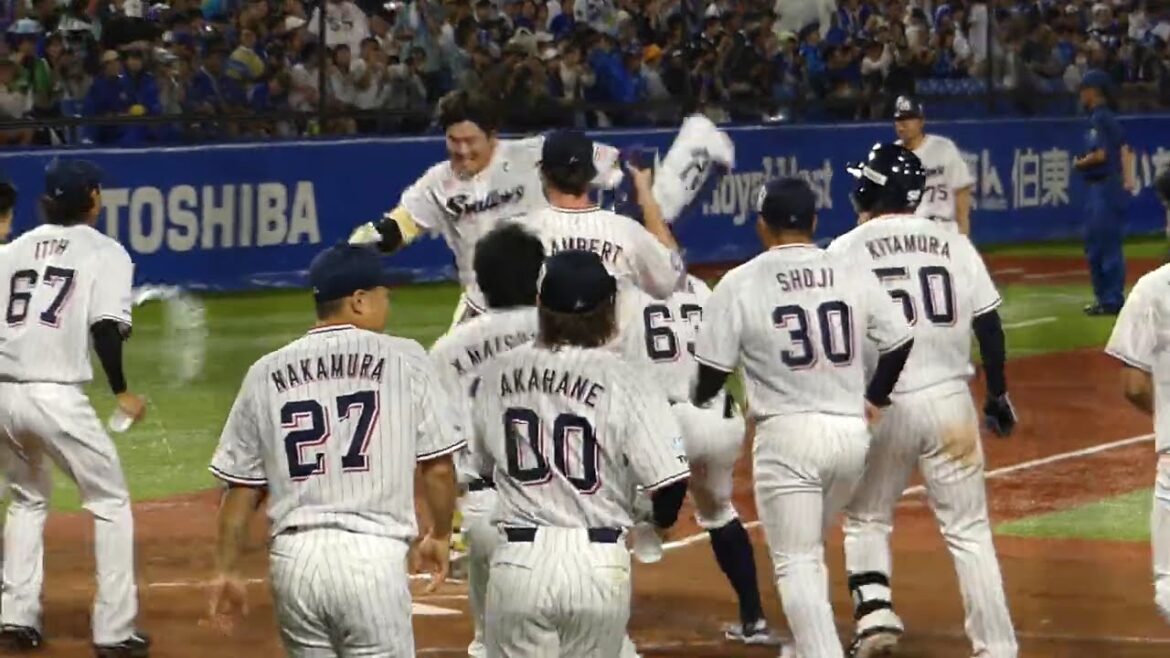 【60秒インプレー動画NO.22】2025年8月12日 東京ヤクルト 村上 宗隆 選手・第5号サヨナラ2ランホームラン