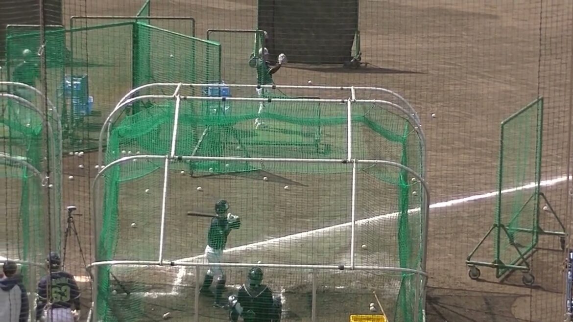 並木秀尊の打撃練習〜スワローズ沖縄キャンプ2025年2月19日