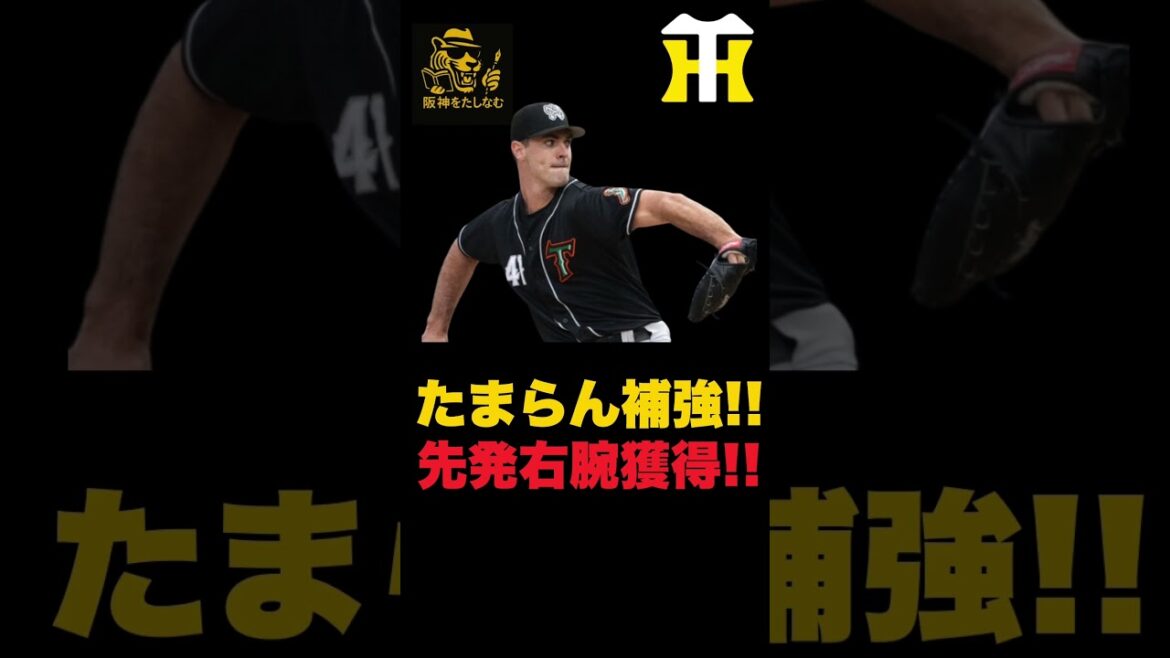 【速報🔥】神補強だ‼️カーソン・ラグズデールを獲得‼️徹底考察‼️#阪神タイガース #阪神　新外国人＃新外国人候補　2026#デバニー＃ルーカス＃モレッタ＃立石 正広＃谷端 ＃カーソン・ラグズデール