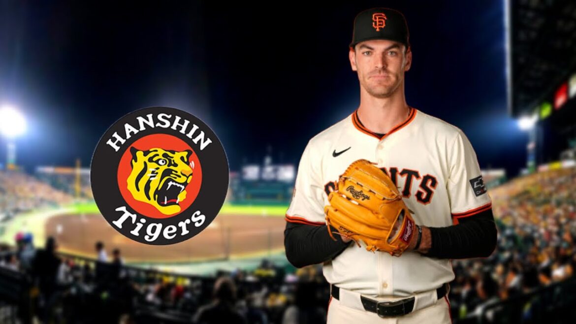 阪神が獲得 カーソン・ラグズデール (Carson Ragsdale) 2025年全球種別投球