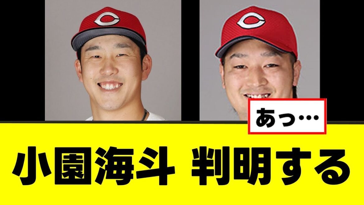 【広島】小園海斗の銭闘理由、意外すぎる説が浮上するwww