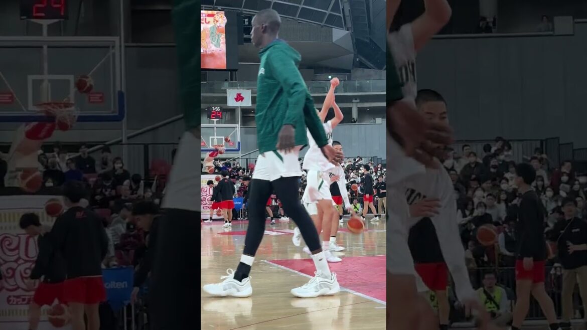 #宮本ツインズ👬 動きがシンクロ！｜SoftBank ウインターカップ2024