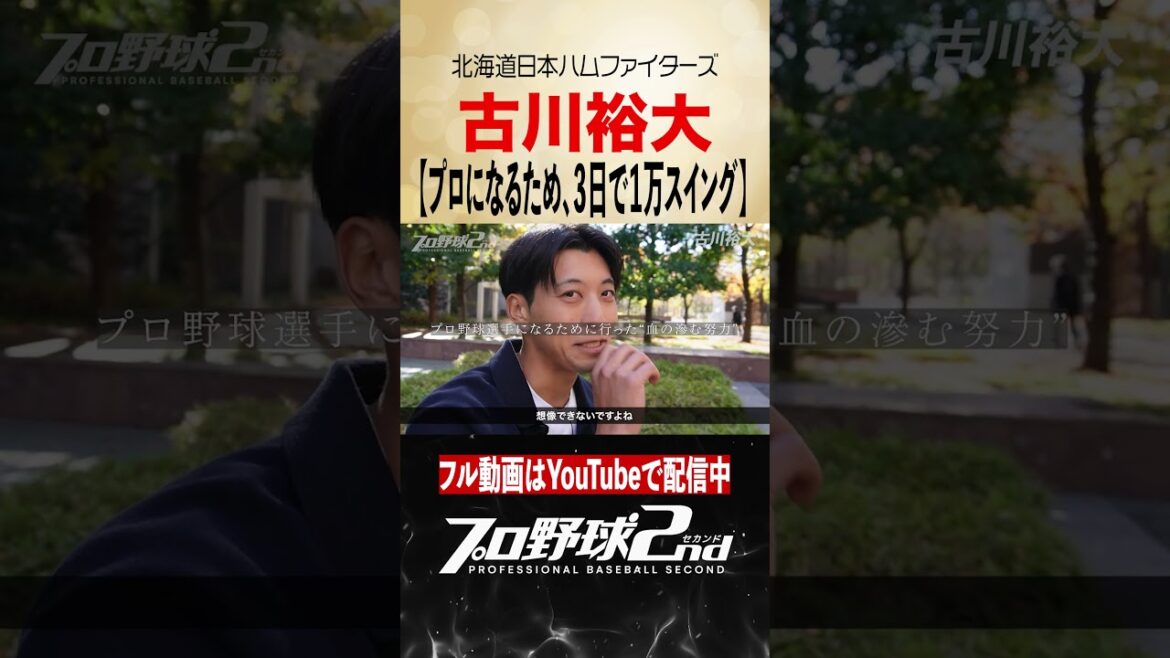 3日で1万スイング…プロ入り前の超過酷練習|古川裕大のプロ野球人生(北海道日本ハムファイターズ) 3日で1万スイング…プロ入り前の超過酷練習|古川裕大のプロ野球人生(北海道日本ハムファイターズ)